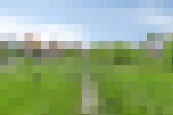 Molenweg 10 Oosterland thumbnail 34
