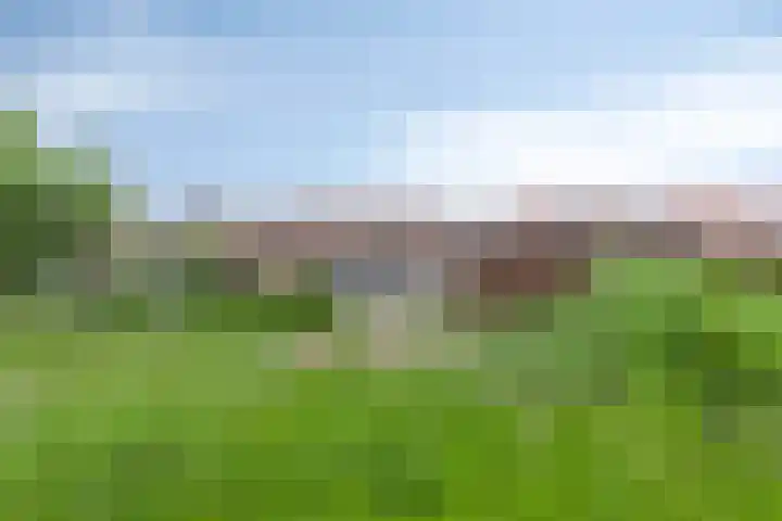 Molenweg 10 Oosterland thumbnail 35