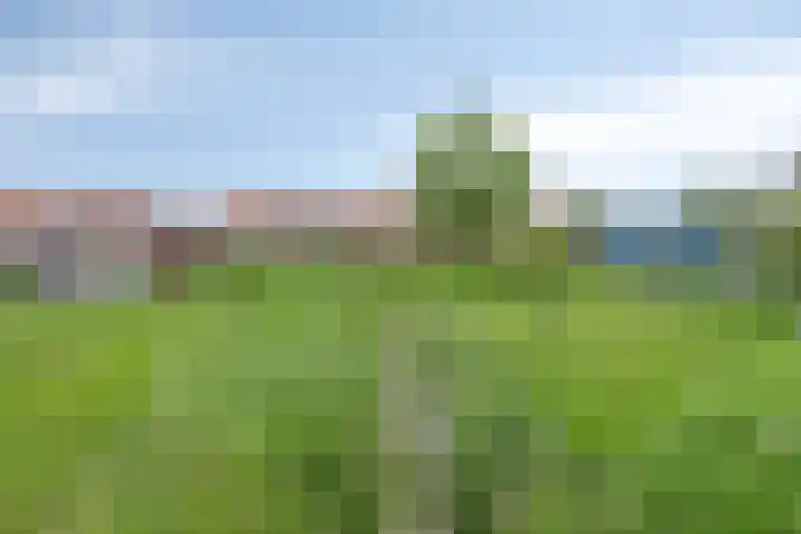 Molenweg 10 Oosterland thumbnail 36
