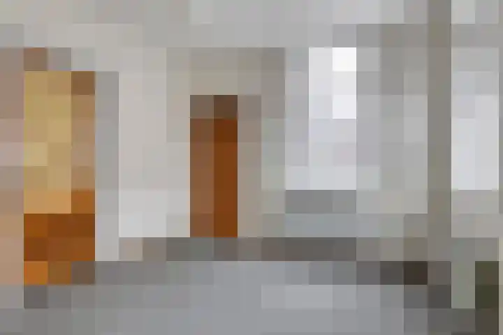 Molenweg 10 Oosterland thumbnail 8