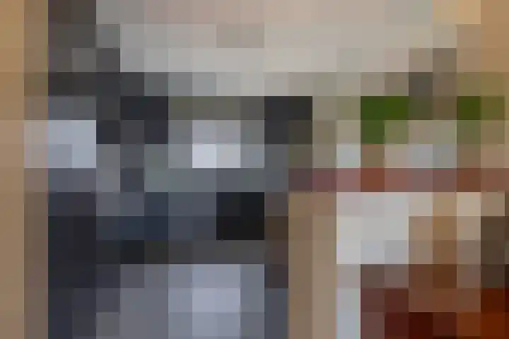 Molenweg 10 Oude-Tonge thumbnail 13