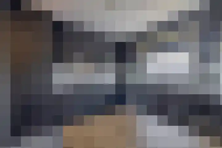 Molenweg 10 Oude-Tonge thumbnail 14