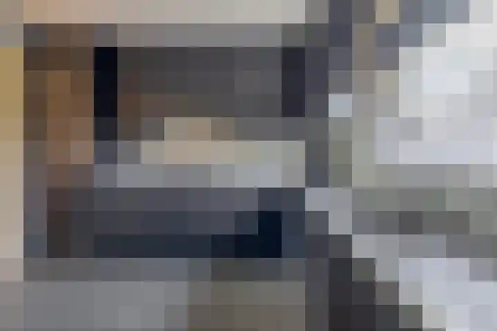 Molenweg 10 Oude-Tonge thumbnail 15