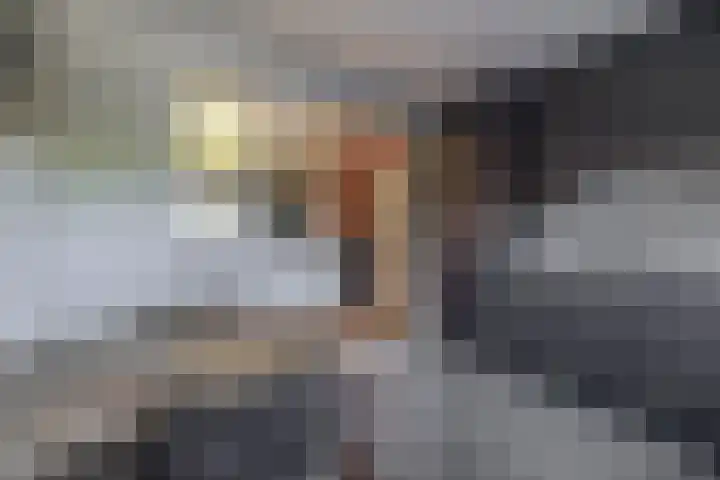 Molenweg 10 Oude-Tonge thumbnail 16