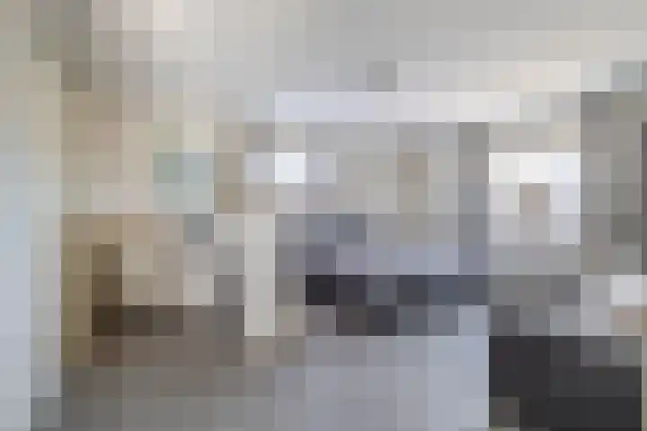 Molenweg 10 Oude-Tonge thumbnail 21