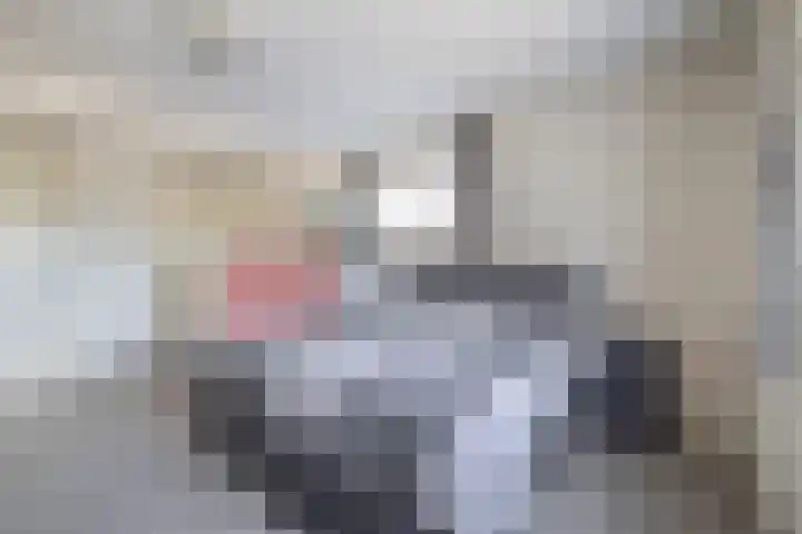 Molenweg 10 Oude-Tonge thumbnail 22