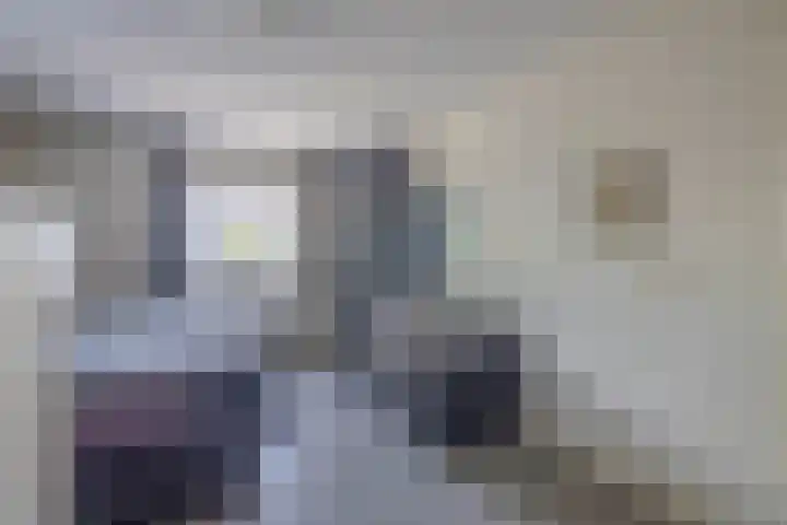 Molenweg 10 Oude-Tonge thumbnail 23