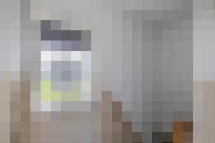Molenweg 10 Oude-Tonge thumbnail 25