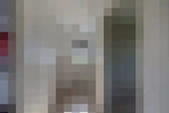 Molenweg 10 Oude-Tonge thumbnail 26
