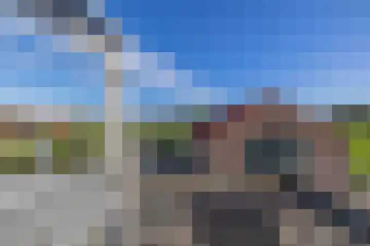Molenweg 10 Oude-Tonge thumbnail 29