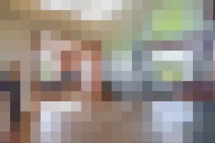 Molenweg 10 Oude-Tonge foto 3