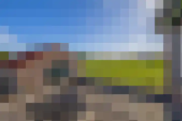 Molenweg 10 Oude-Tonge thumbnail 30