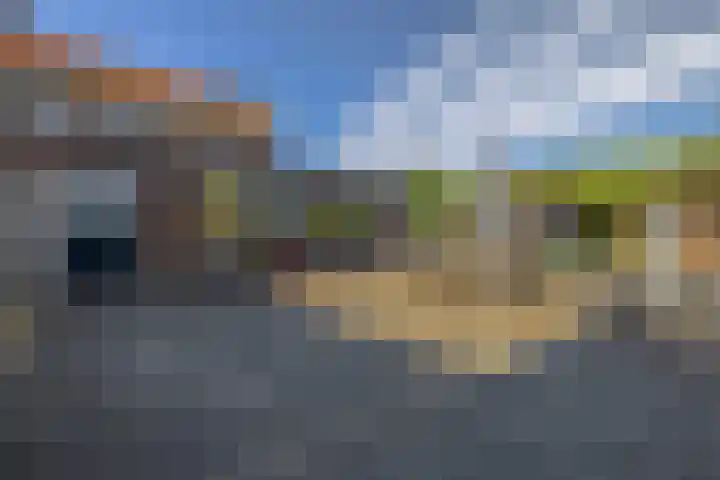 Molenweg 10 Oude-Tonge thumbnail 40
