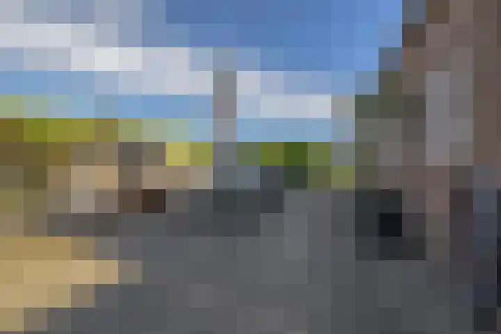 Molenweg 10 Oude-Tonge thumbnail 41