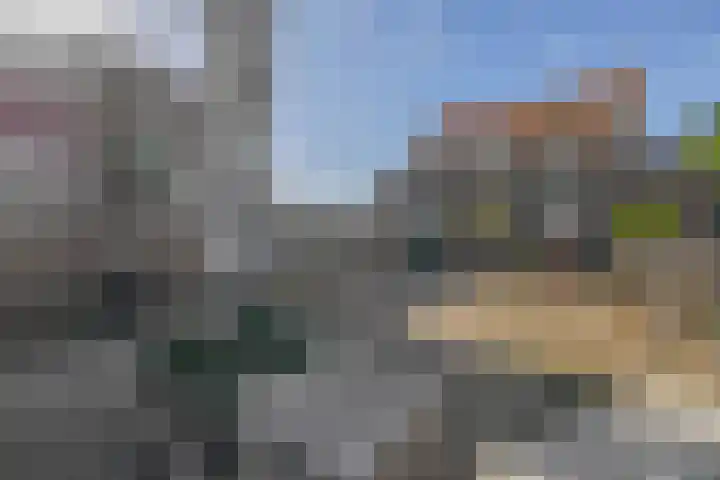 Molenweg 10 Oude-Tonge thumbnail 42