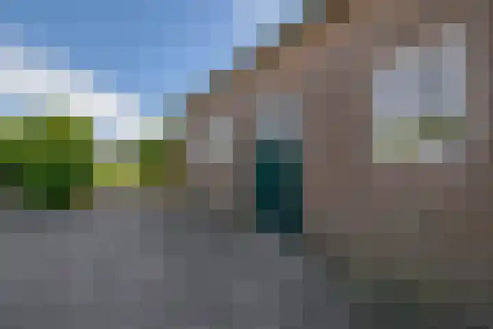 Molenweg 10 Oude-Tonge thumbnail 43