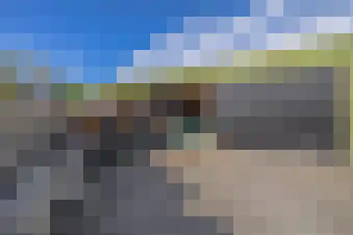 Molenweg 10 Oude-Tonge thumbnail 44