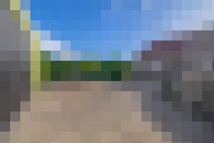 Molenweg 10 Oude-Tonge thumbnail 45