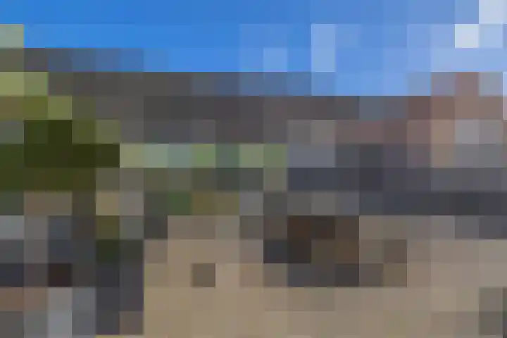 Molenweg 10 Oude-Tonge thumbnail 47