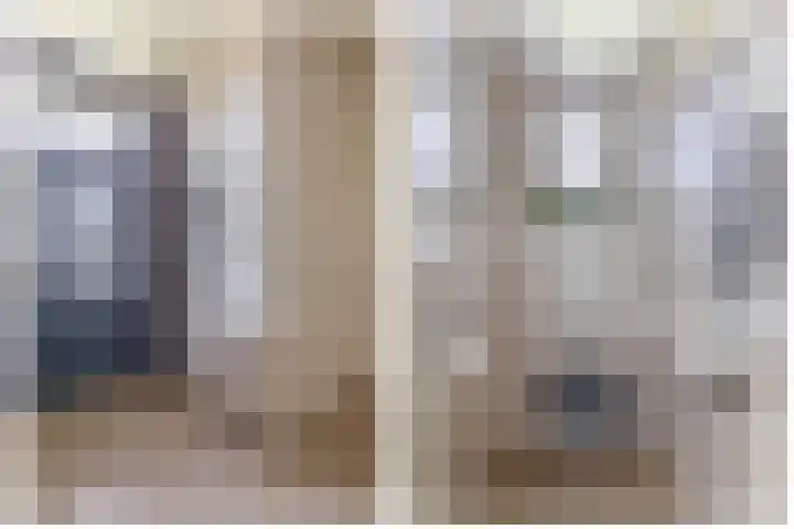 Molenweg 10 Oude-Tonge thumbnail 5