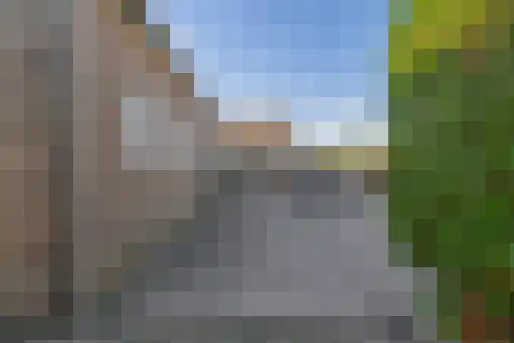 Molenweg 10 Oude-Tonge thumbnail 50