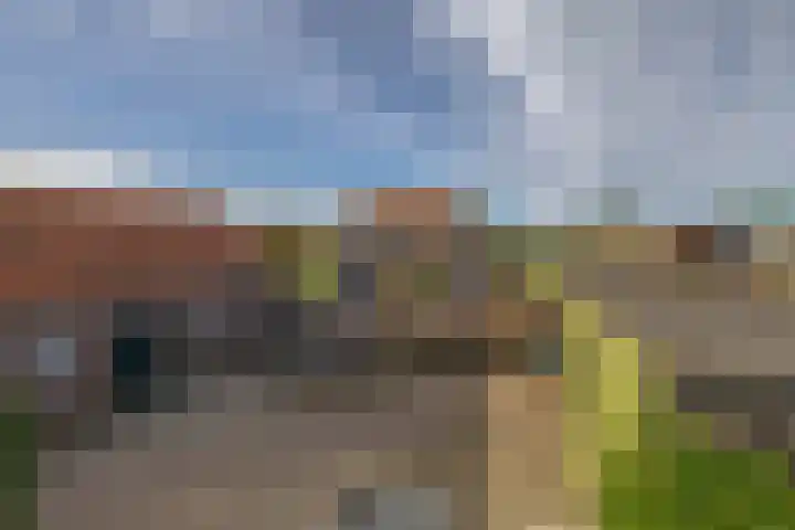 Molenweg 10 Oude-Tonge thumbnail 51