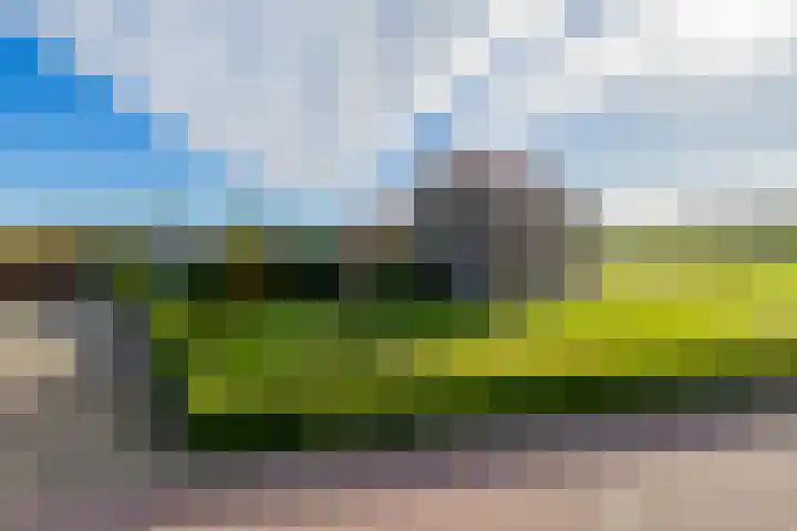 Molenweg 10 Oude-Tonge thumbnail 53