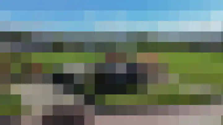 Molenweg 10 Oude-Tonge thumbnail 55