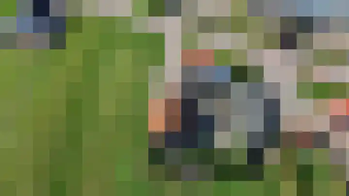 Molenweg 10 Oude-Tonge thumbnail 56