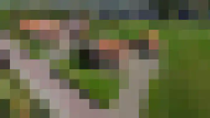 Molenweg 10 Oude-Tonge thumbnail 57