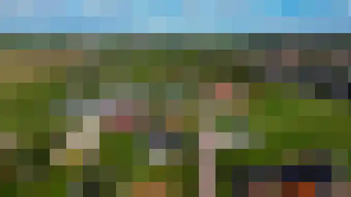 Molenweg 10 Oude-Tonge thumbnail 59