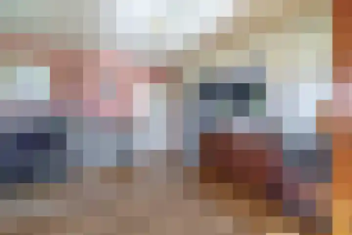 Molenweg 10 Oude-Tonge thumbnail 6