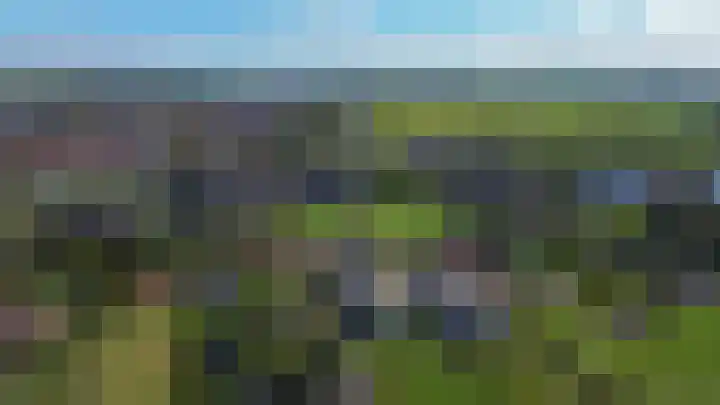 Molenweg 10 Oude-Tonge thumbnail 60