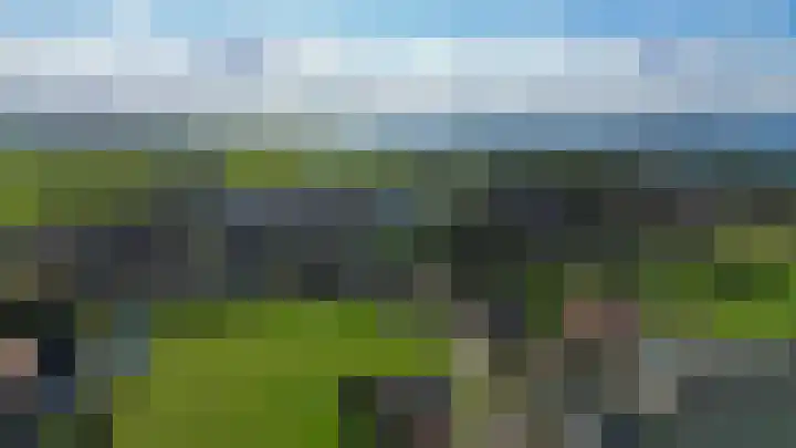 Molenweg 10 Oude-Tonge thumbnail 61