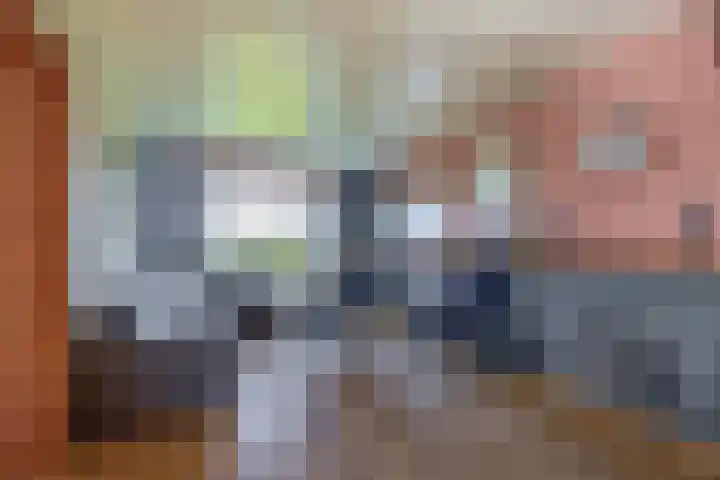 Molenweg 10 Oude-Tonge thumbnail 7