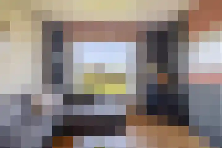 Molenweg 10 Oude-Tonge thumbnail 9