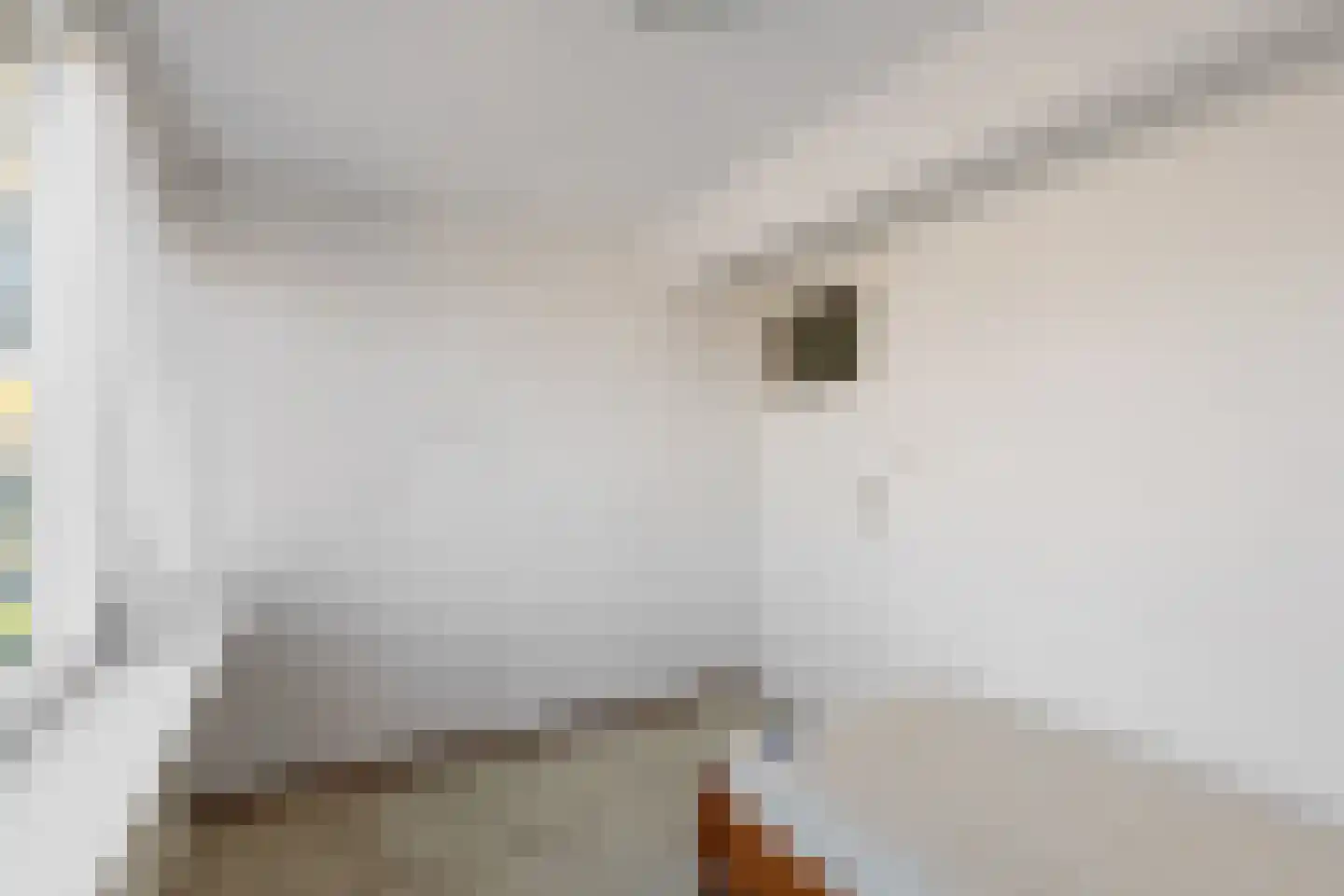 Molenweg 10 Soest thumbnail 19