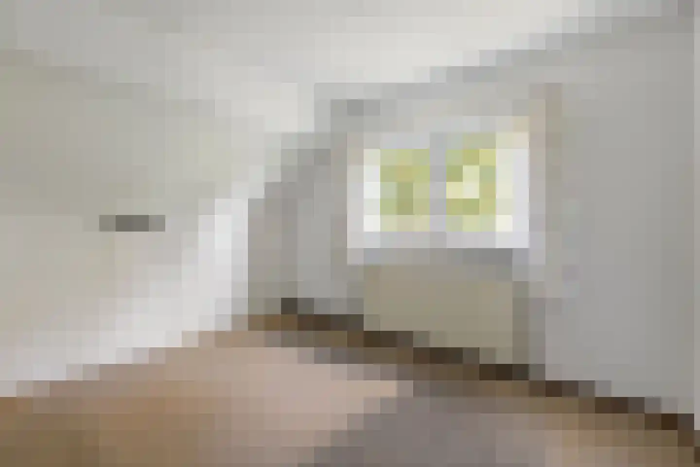 Molenweg 10 Soest thumbnail 20