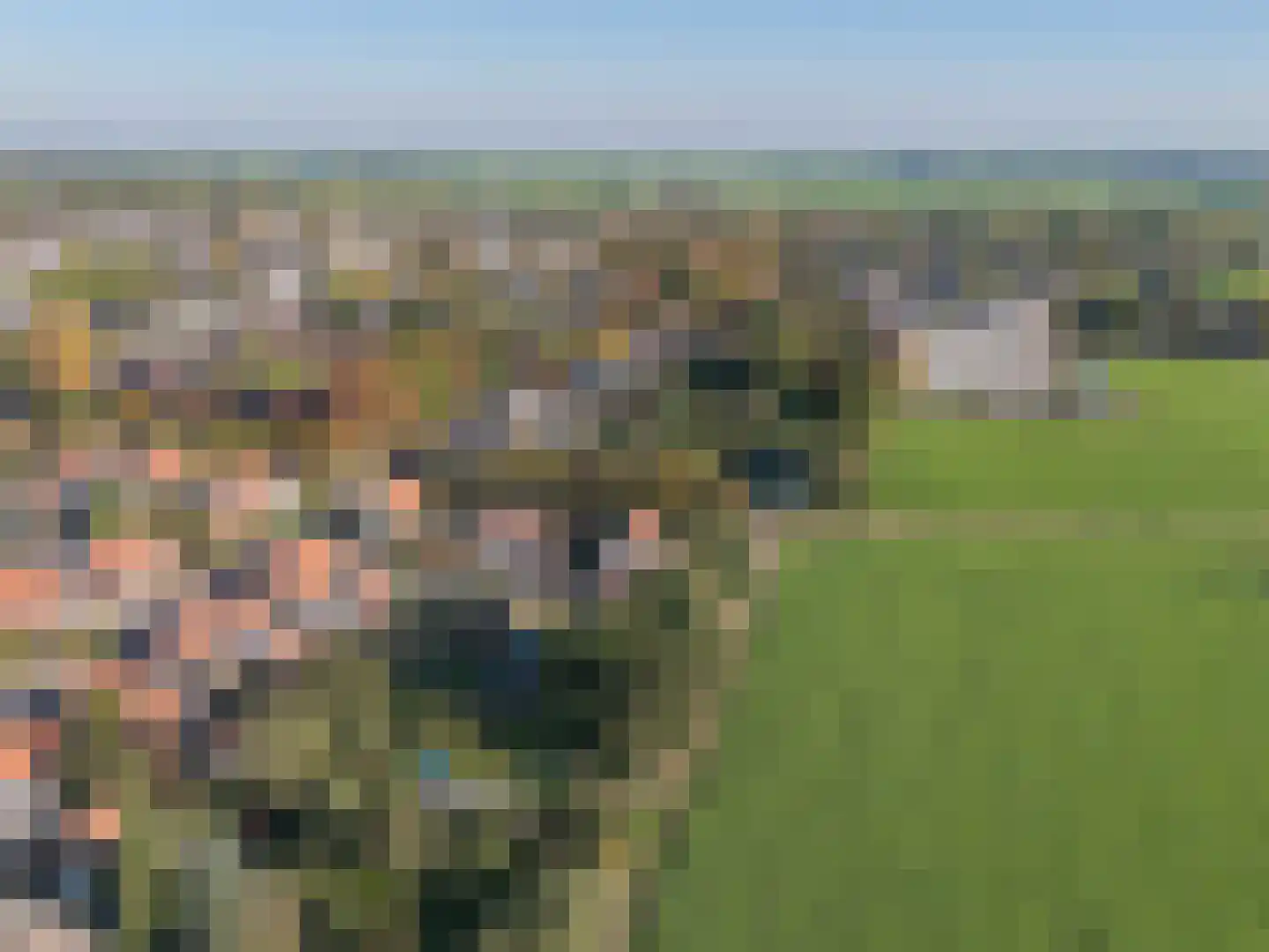 Molenweg 10 Soest thumbnail 30