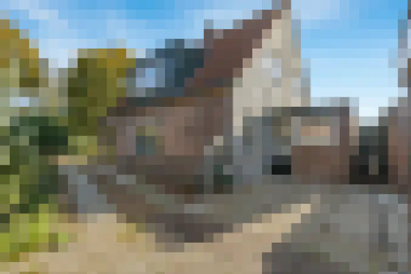 Molenweg 10 Soest thumbnail 6
