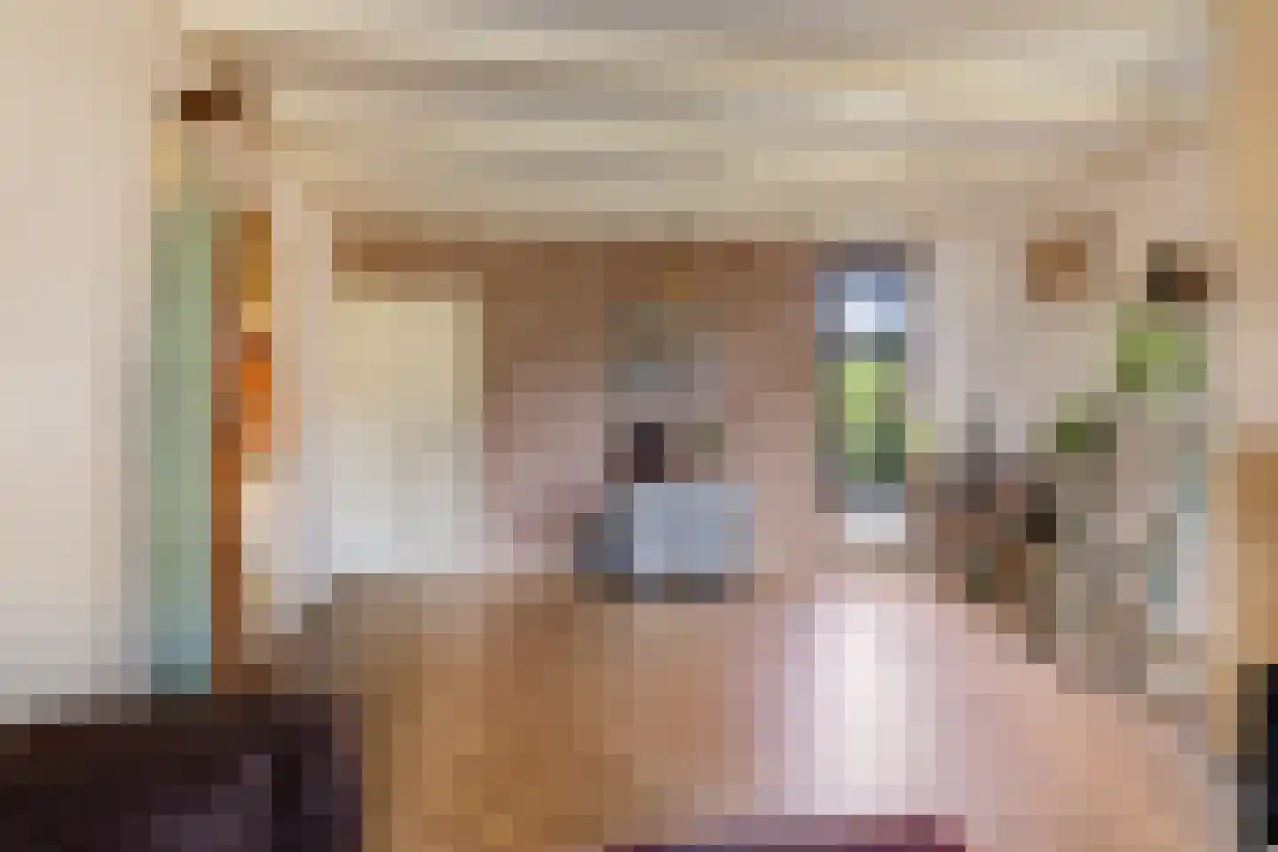 Molenweg 10 Wijdenes thumbnail 22