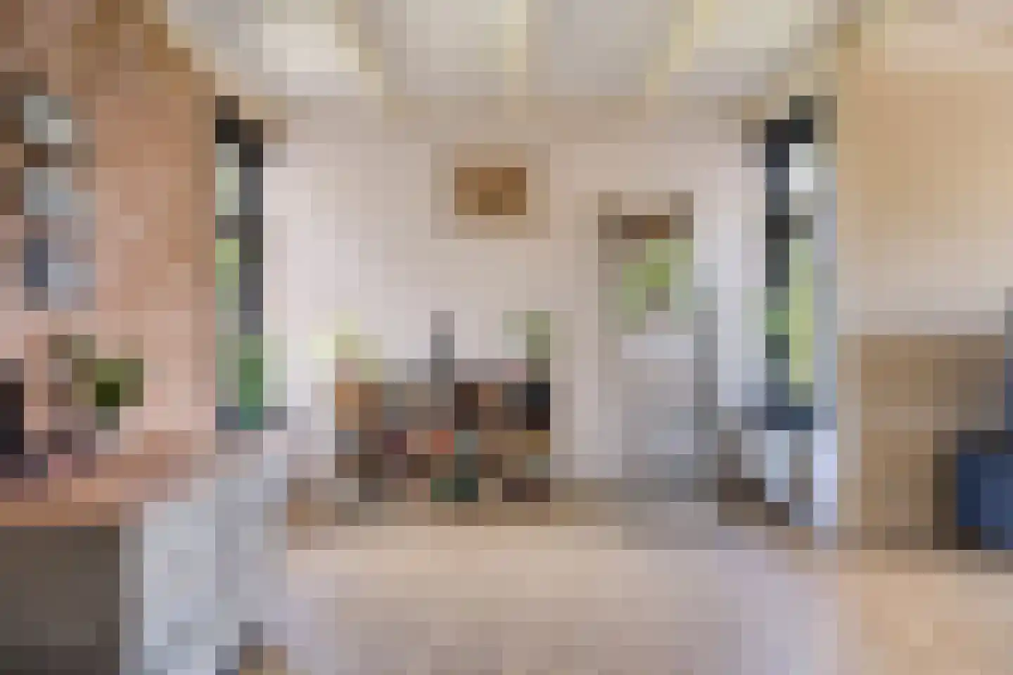 Molenweg 10 Wijdenes thumbnail 23