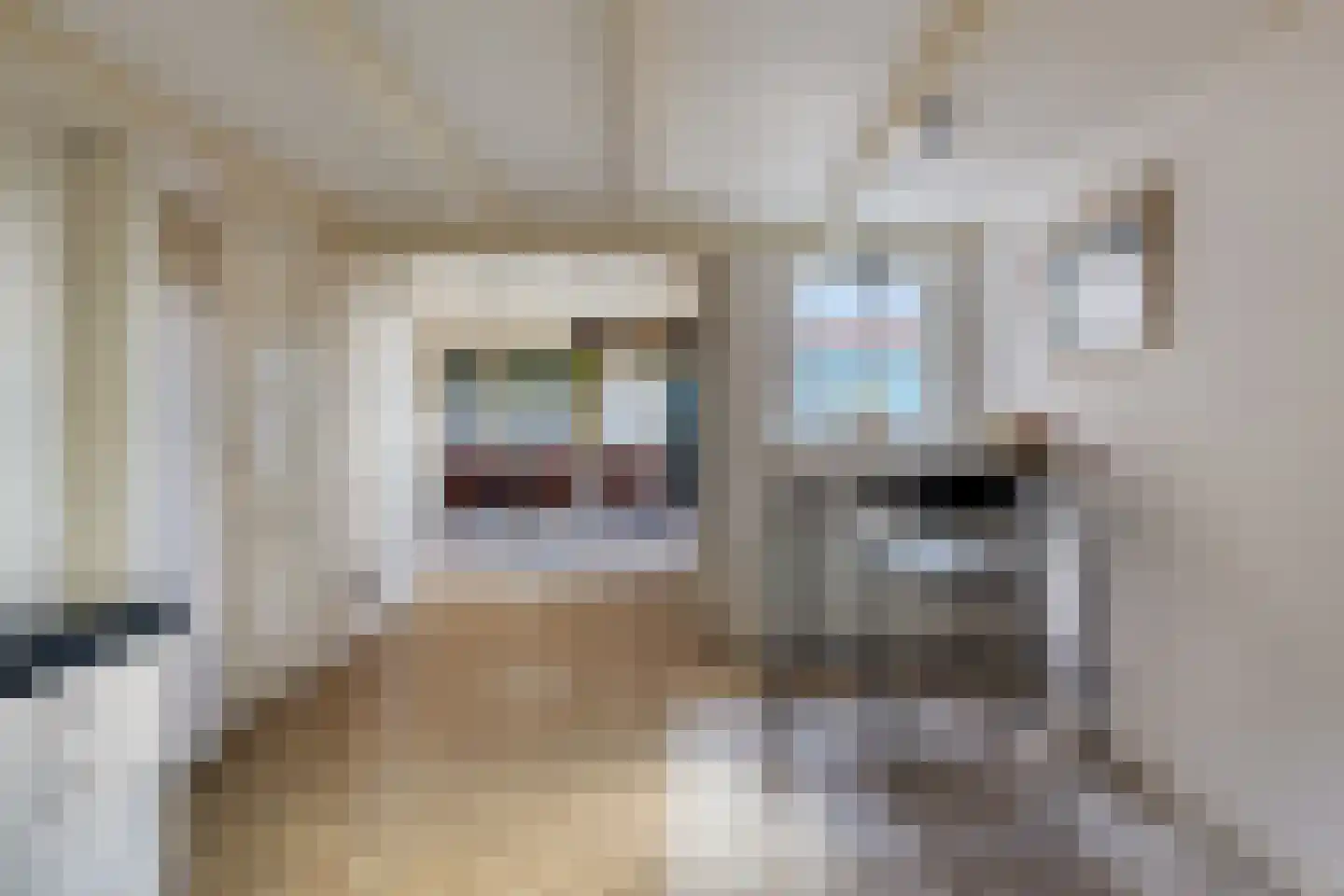Molenweg 10 Wijdenes thumbnail 28