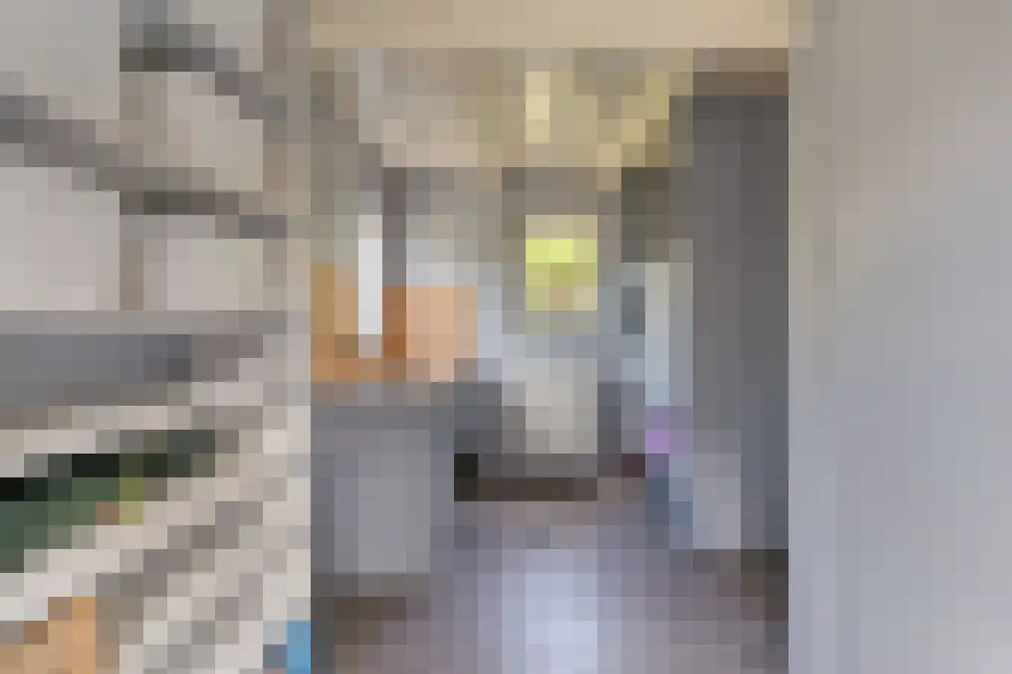 Molenweg 10 Wijdenes thumbnail 31