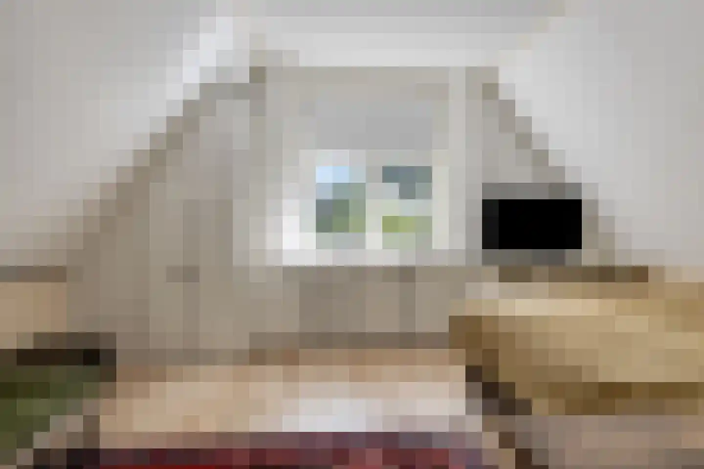 Molenweg 10 Wijdenes thumbnail 38