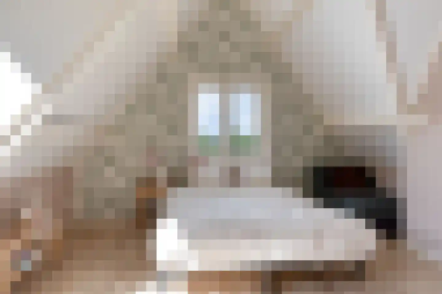 Molenweg 10 Wijdenes thumbnail 42