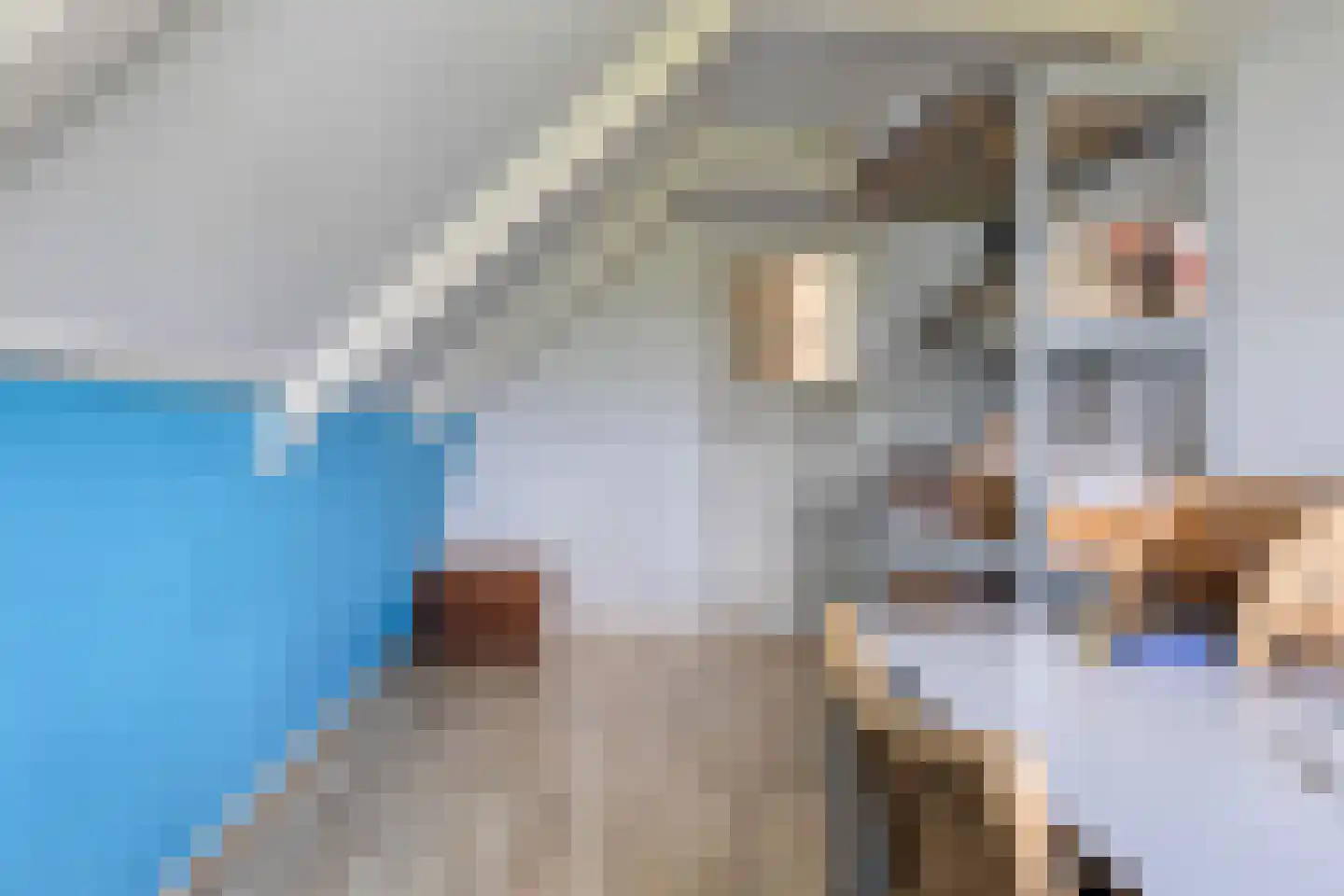 Molenweg 10 Wijdenes thumbnail 46