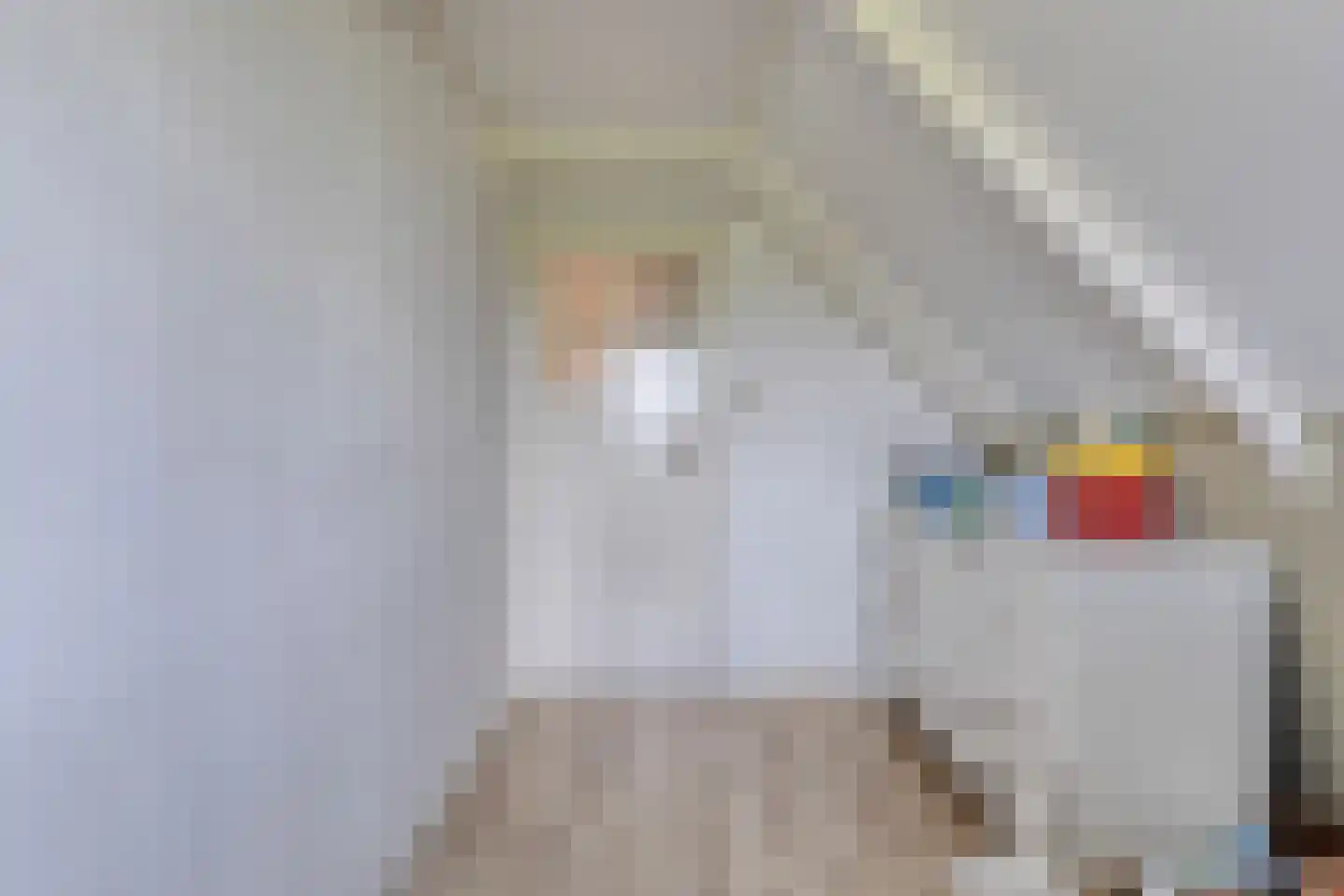 Molenweg 10 Wijdenes thumbnail 49