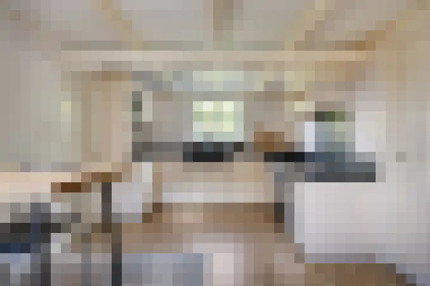 Molenweg 10 Wijdenes thumbnail 5