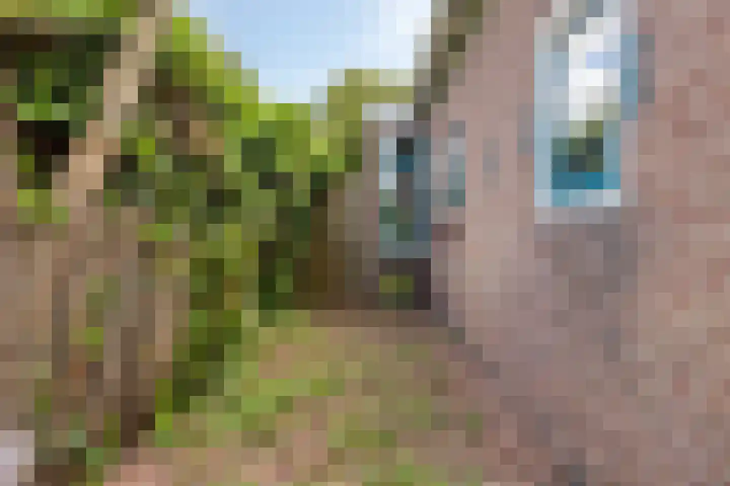 Molenweg 10 Wijdenes thumbnail 59